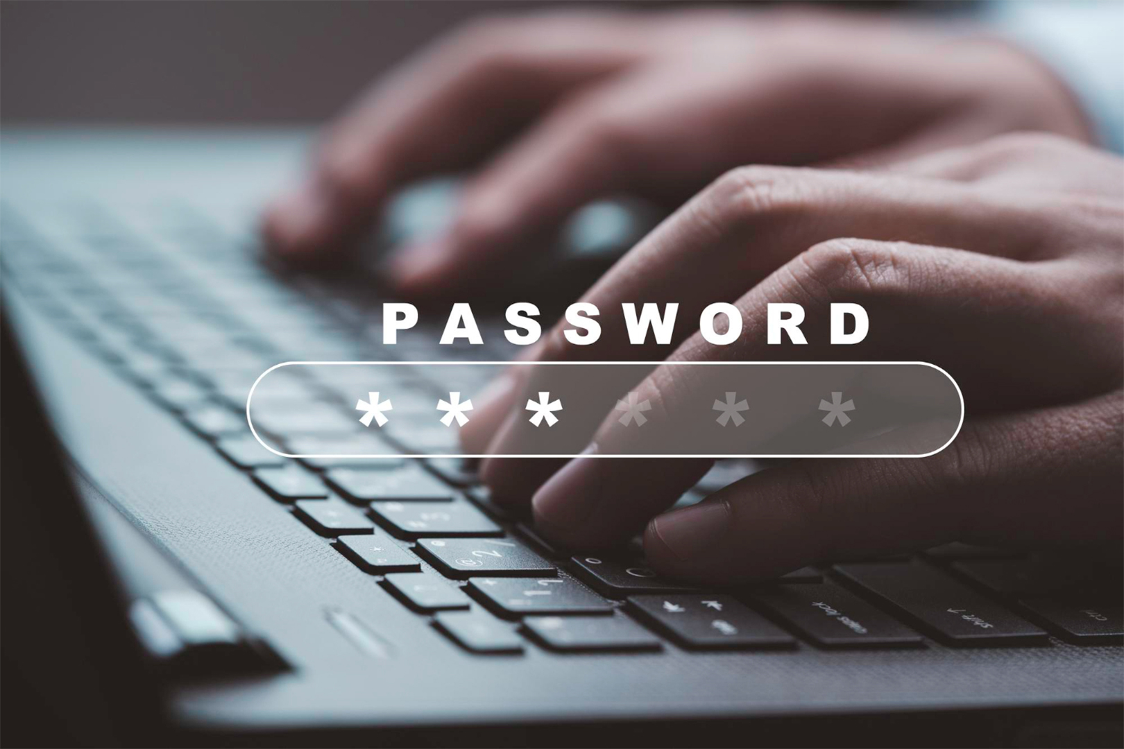 1password-to-pcloudpass-review-img24